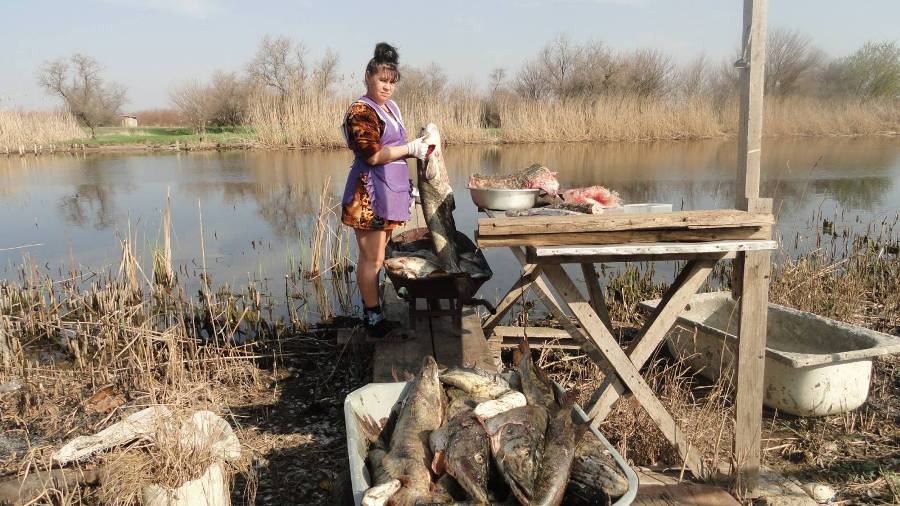 Рыболовная база «Золотая рыбка» на раскатах